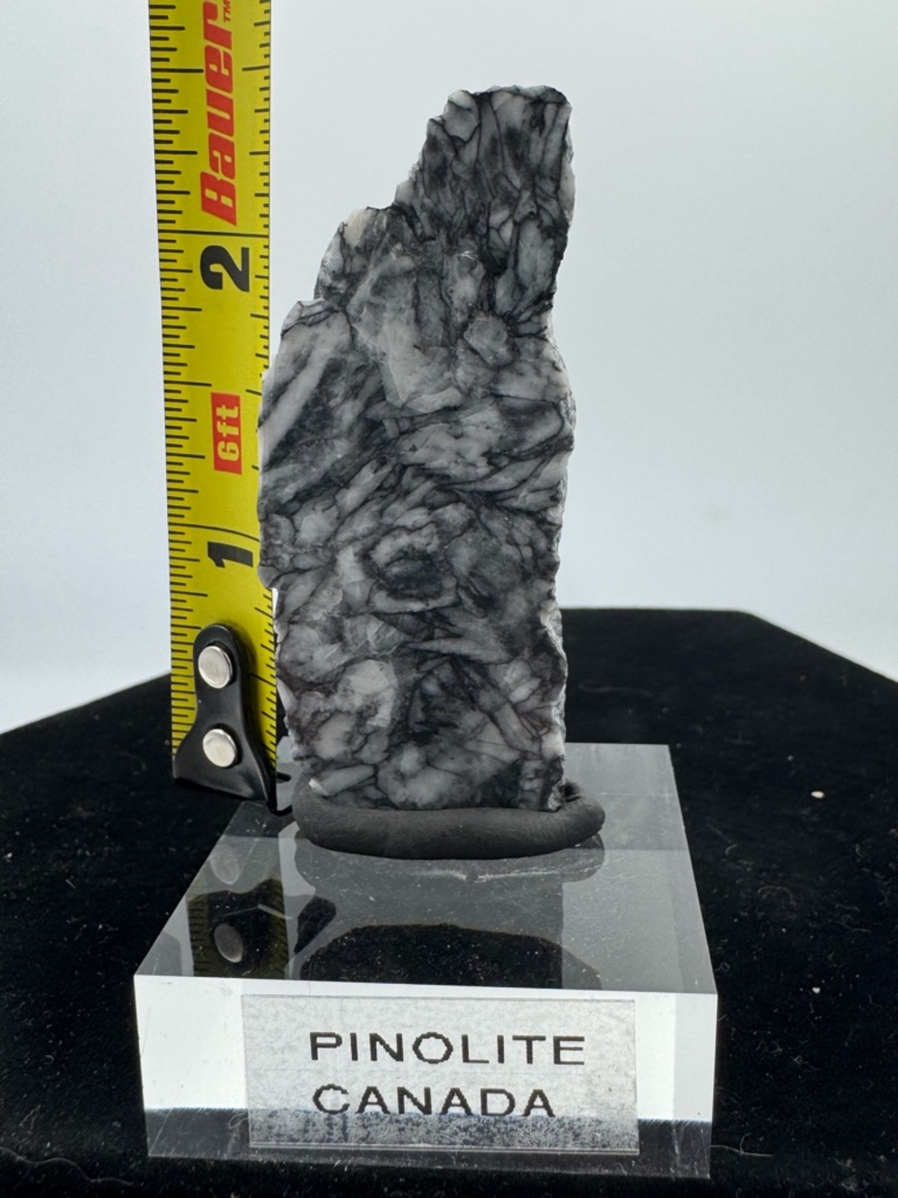 Polished Pinolite (Canada) - Picture 4 of 4